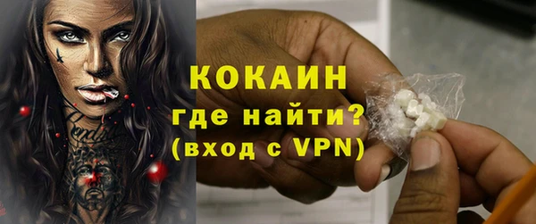 шишки Кукмор