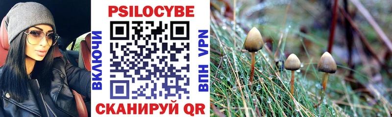 Галлюциногенные грибы прущие грибы  Купить где  Горняк 