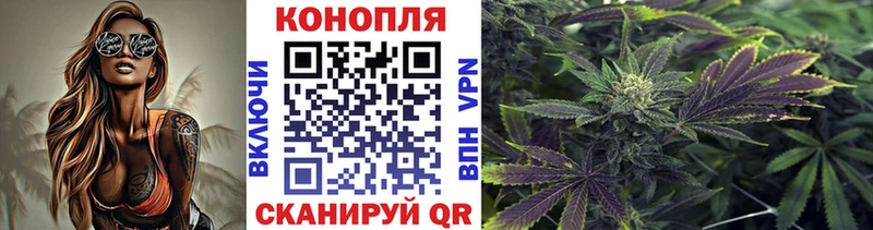 Бошки марихуана семена  Купить где  Горняк 